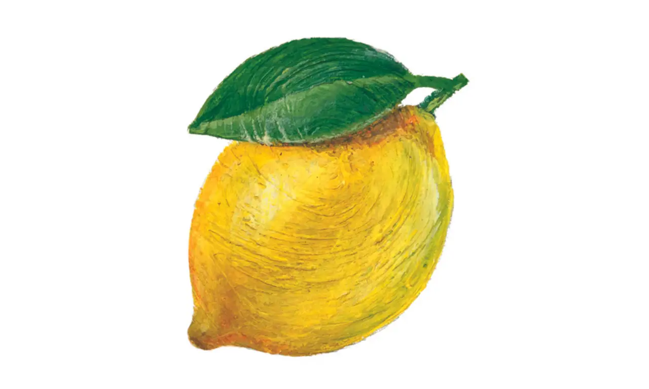 Articoli da leggere